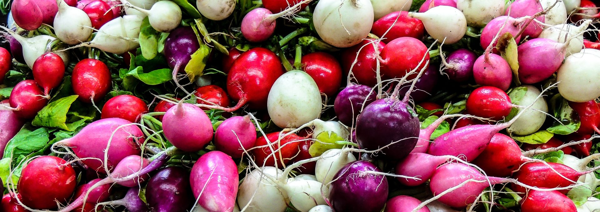 bunch of white, red and purple radishes