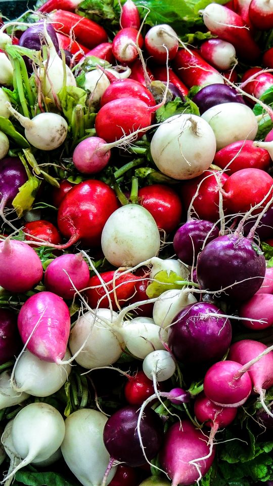 bunch of white, red and purple radishes